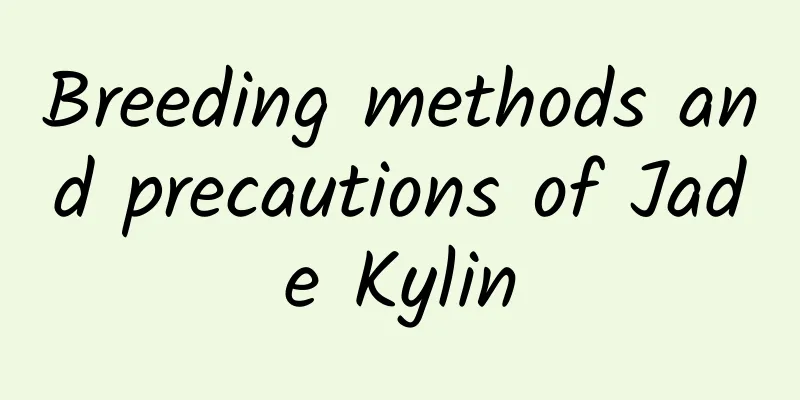 Breeding methods and precautions of Jade Kylin