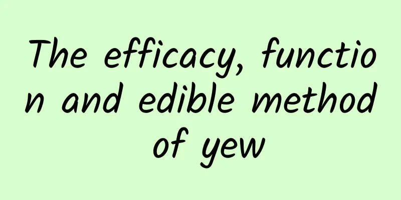 The efficacy, function and edible method of yew