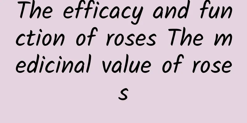 The efficacy and function of roses The medicinal value of roses