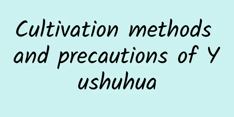 Cultivation methods and precautions of Yushuhua