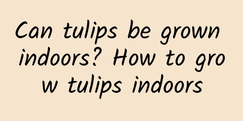 Can tulips be grown indoors? How to grow tulips indoors