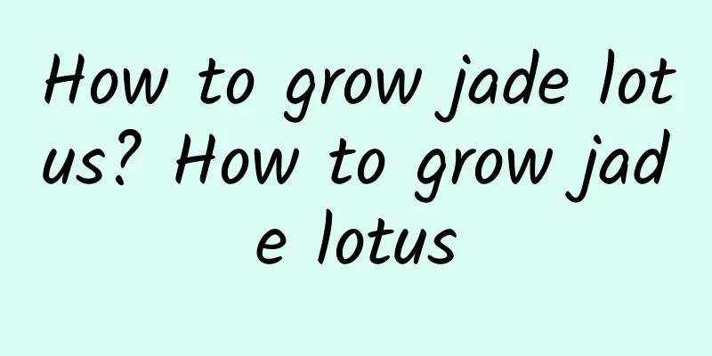 How to grow jade lotus? How to grow jade lotus