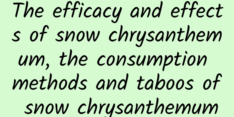 The efficacy and effects of snow chrysanthemum, the consumption methods and taboos of snow chrysanthemum