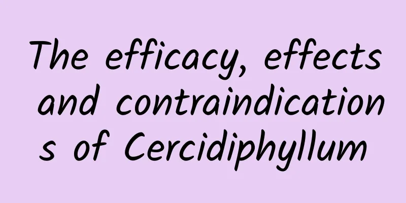 The efficacy, effects and contraindications of Cercidiphyllum