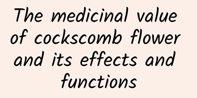 The medicinal value of cockscomb flower and its effects and functions