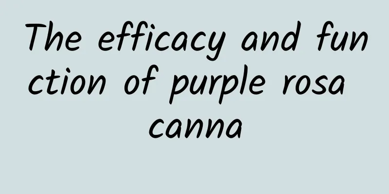 The efficacy and function of purple rosa canna