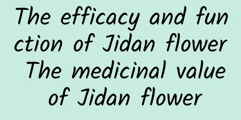 The efficacy and function of Jidan flower The medicinal value of Jidan flower