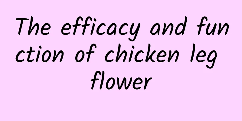 The efficacy and function of chicken leg flower