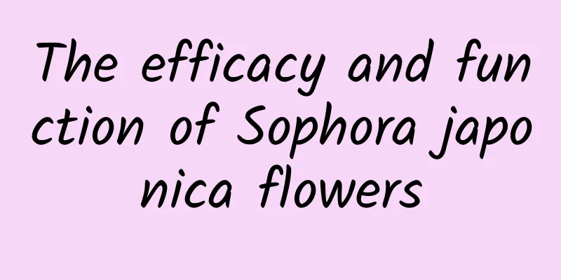 The efficacy and function of Sophora japonica flowers