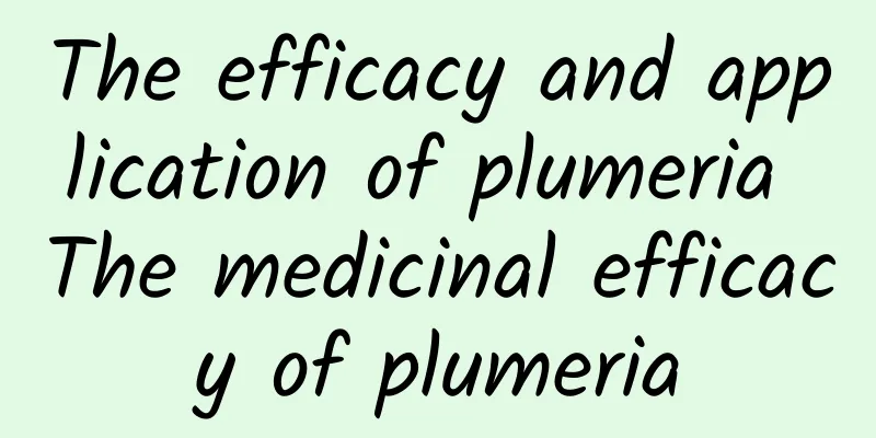 The efficacy and application of plumeria The medicinal efficacy of plumeria