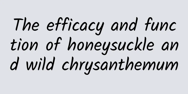 The efficacy and function of honeysuckle and wild chrysanthemum