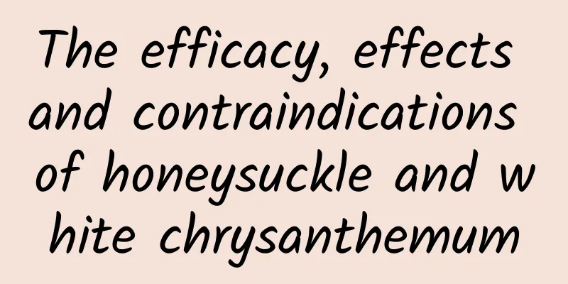 The efficacy, effects and contraindications of honeysuckle and white chrysanthemum