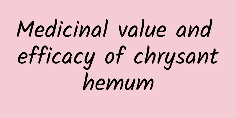 Medicinal value and efficacy of chrysanthemum