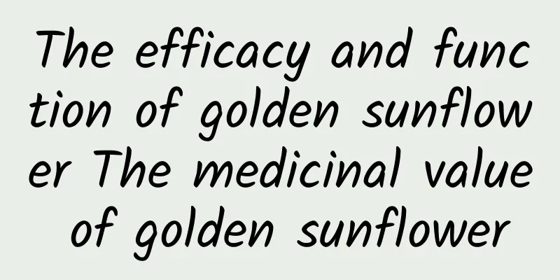 The efficacy and function of golden sunflower The medicinal value of golden sunflower