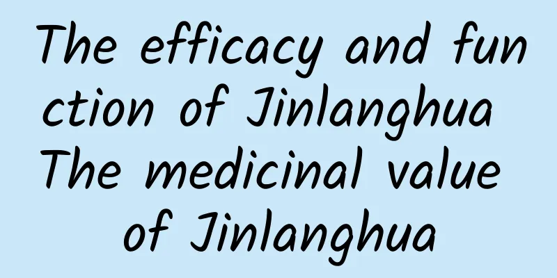 The efficacy and function of Jinlanghua The medicinal value of Jinlanghua