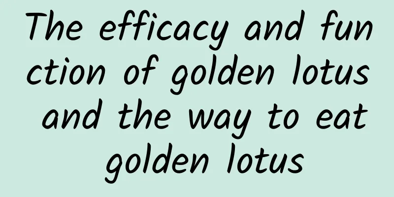 The efficacy and function of golden lotus and the way to eat golden lotus