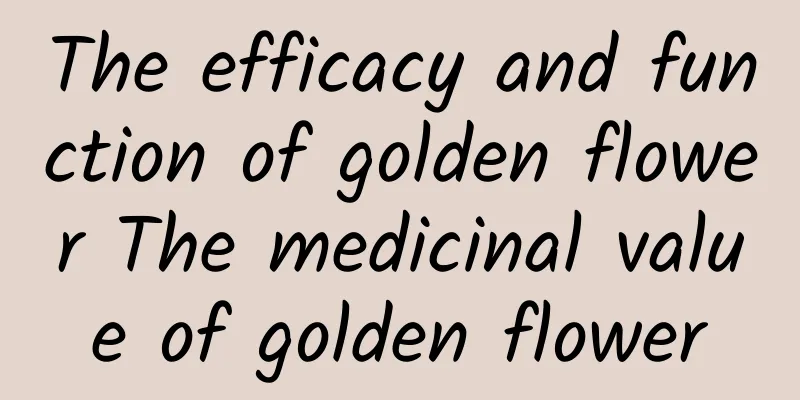 The efficacy and function of golden flower The medicinal value of golden flower