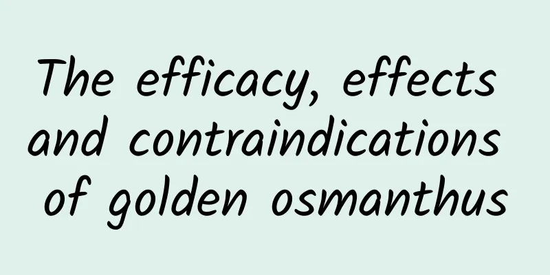 The efficacy, effects and contraindications of golden osmanthus