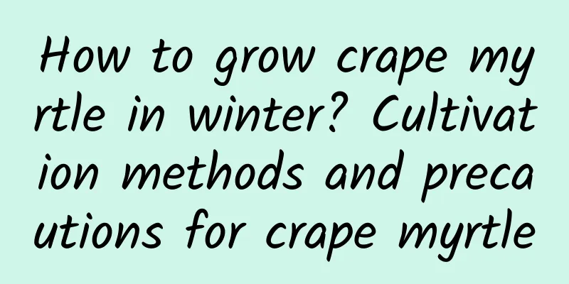 How to grow crape myrtle in winter? Cultivation methods and precautions for crape myrtle