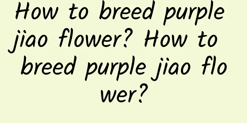 How to breed purple jiao flower? How to breed purple jiao flower?