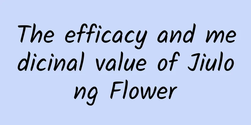 The efficacy and medicinal value of Jiulong Flower