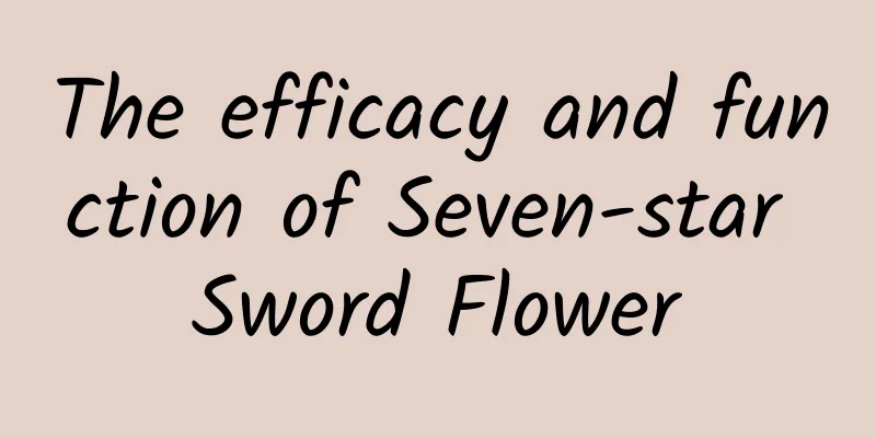 The efficacy and function of Seven-star Sword Flower