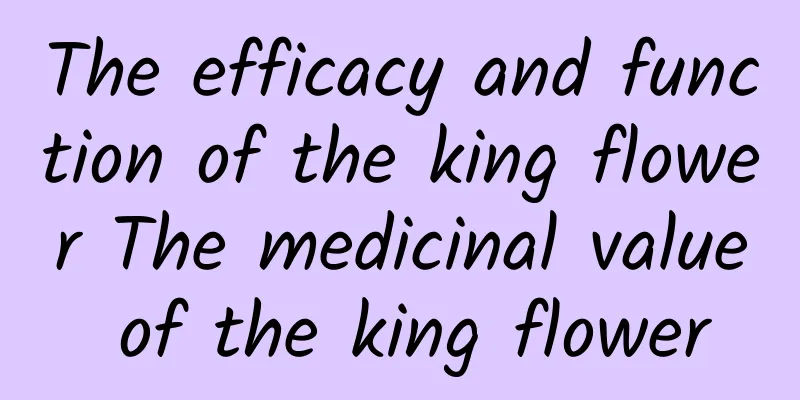 The efficacy and function of the king flower The medicinal value of the king flower