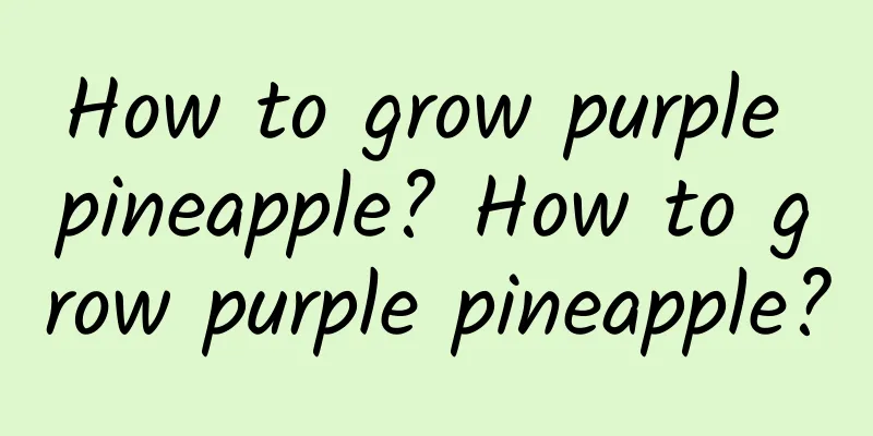 How to grow purple pineapple? How to grow purple pineapple?