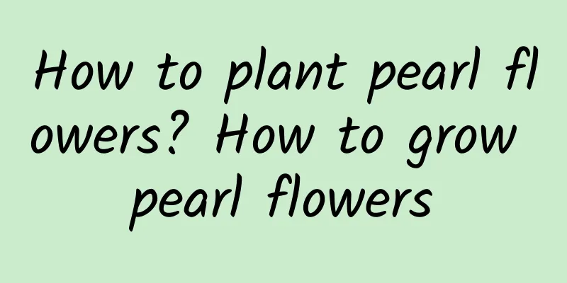 How to plant pearl flowers? How to grow pearl flowers