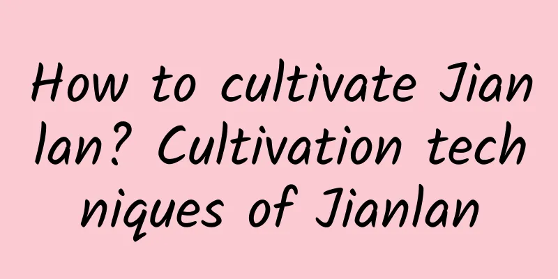 How to cultivate Jianlan? Cultivation techniques of Jianlan