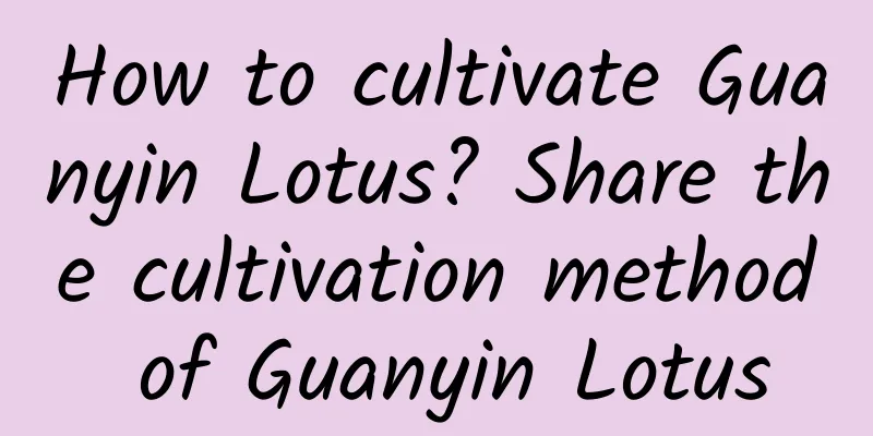 How to cultivate Guanyin Lotus? Share the cultivation method of Guanyin Lotus