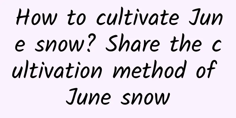 How to cultivate June snow? Share the cultivation method of June snow