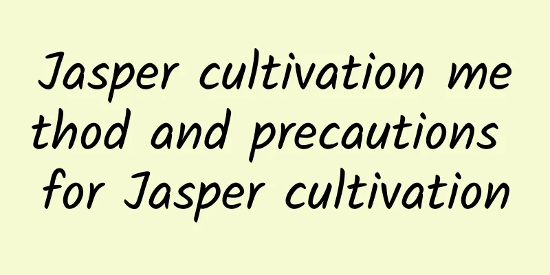 Jasper cultivation method and precautions for Jasper cultivation