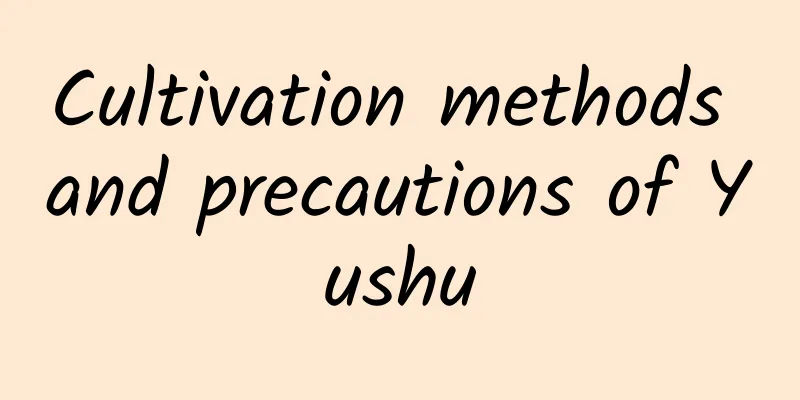 Cultivation methods and precautions of Yushu