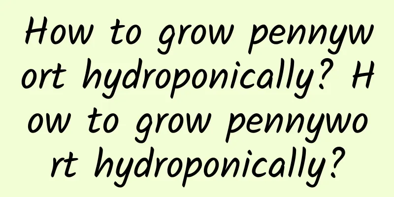 How to grow pennywort hydroponically? How to grow pennywort hydroponically?