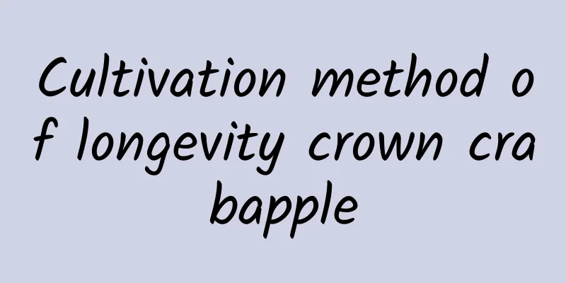Cultivation method of longevity crown crabapple