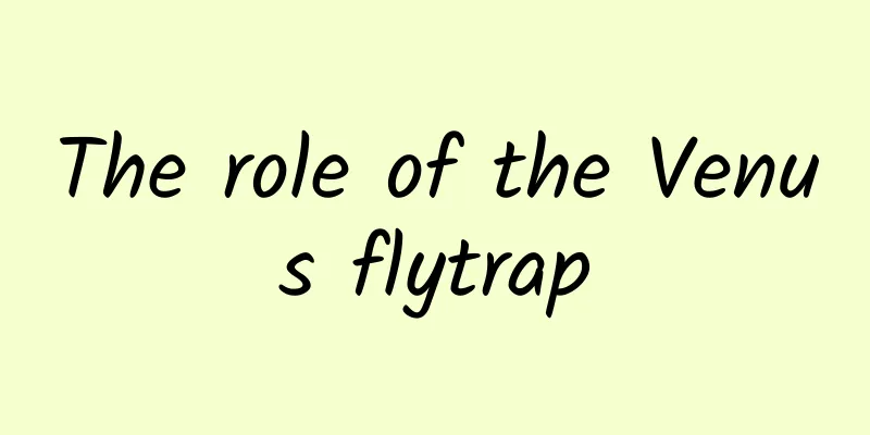 The role of the Venus flytrap