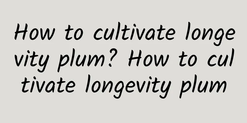 How to cultivate longevity plum? How to cultivate longevity plum