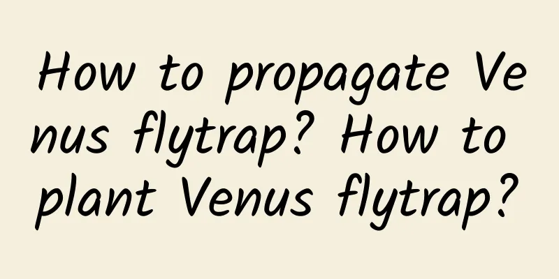 How to propagate Venus flytrap? How to plant Venus flytrap?