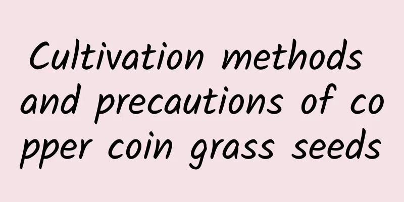 Cultivation methods and precautions of copper coin grass seeds