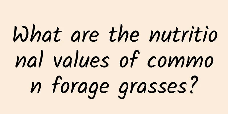 What are the nutritional values ​​of common forage grasses?