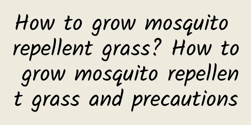 How to grow mosquito repellent grass? How to grow mosquito repellent grass and precautions