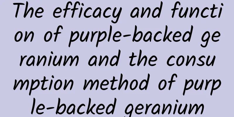 The efficacy and function of purple-backed geranium and the consumption method of purple-backed geranium