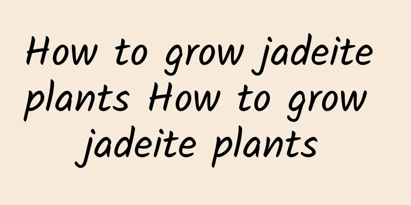 How to grow jadeite plants How to grow jadeite plants