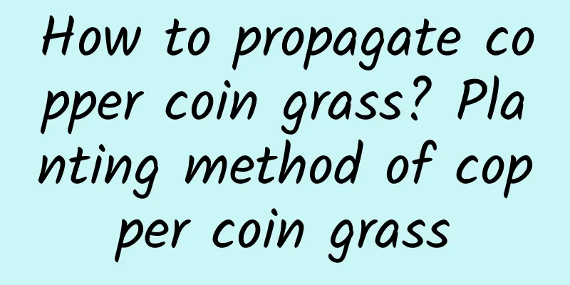 How to propagate copper coin grass? Planting method of copper coin grass