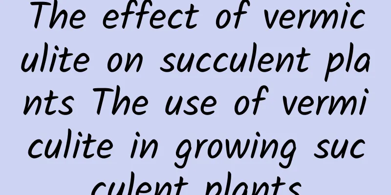 The effect of vermiculite on succulent plants The use of vermiculite in growing succulent plants