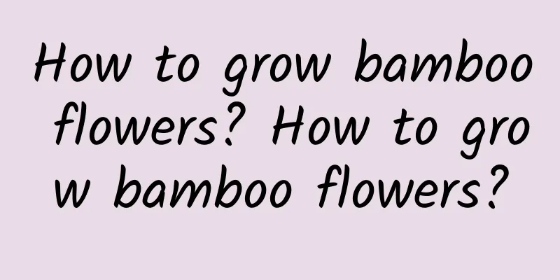 How to grow bamboo flowers? How to grow bamboo flowers?