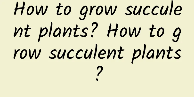 How to grow succulent plants? How to grow succulent plants?