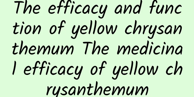 The efficacy and function of yellow chrysanthemum The medicinal efficacy of yellow chrysanthemum