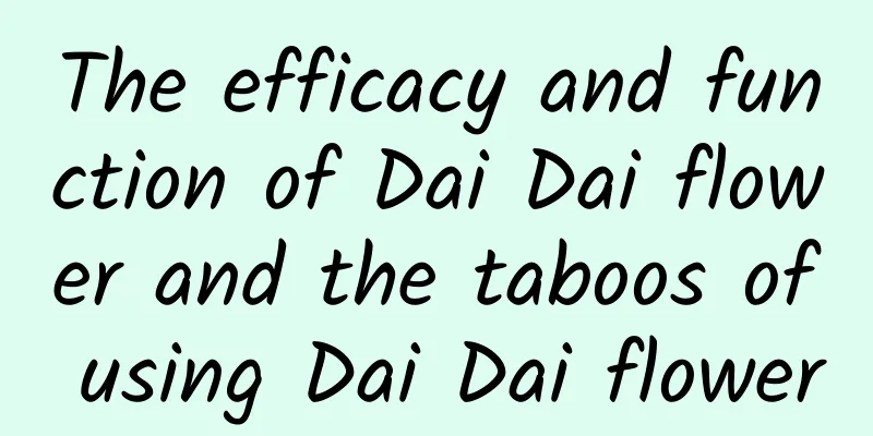 The efficacy and function of Dai Dai flower and the taboos of using Dai Dai flower